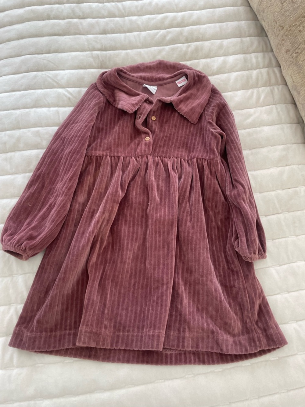 Zara Velvet dress